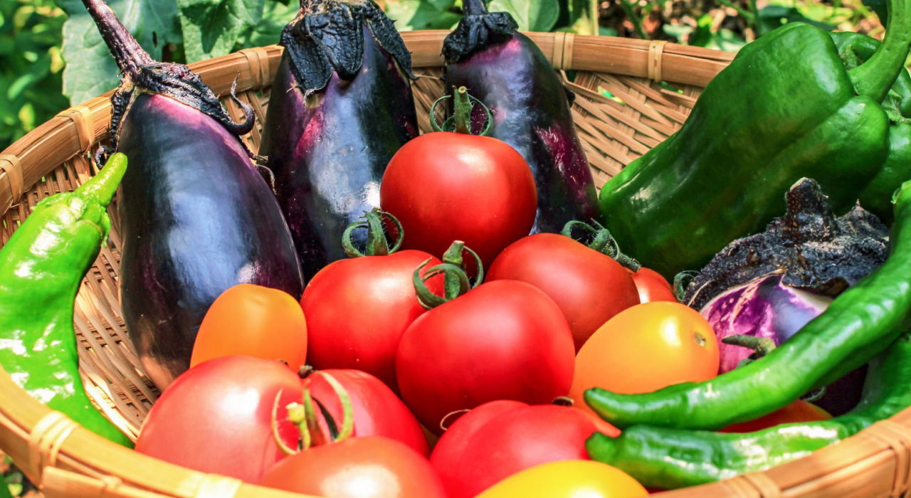 果菜類の保存方法