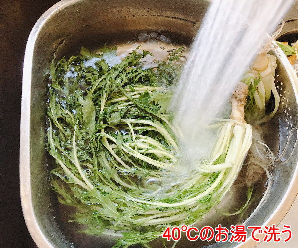 水菜を湯で洗う